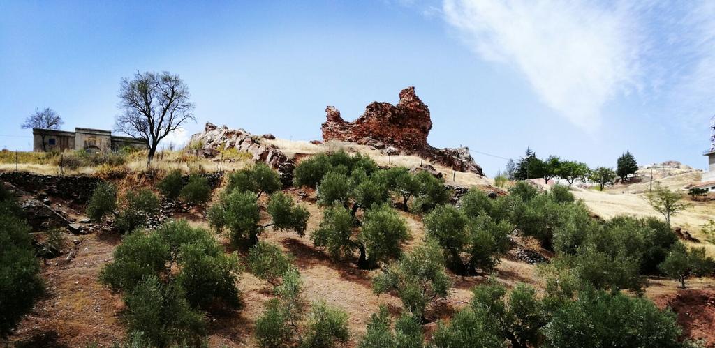 Casas Rurales Canserta アルカラス エクステリア 写真